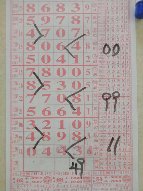 21292期 排5 海南特產(chǎn)大師 拆獎圖規(guī)律