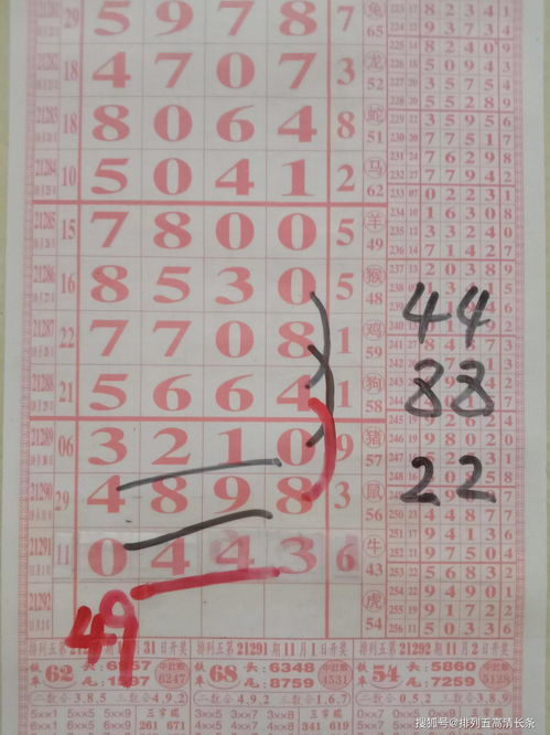 21292期 排5 海南特產大師 拆獎圖規律