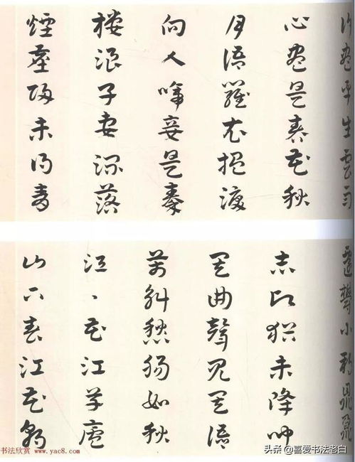 明代進(jìn)士楊嘉祚章草《琵琶行》 清古書風(fēng)中的詩情墨韻